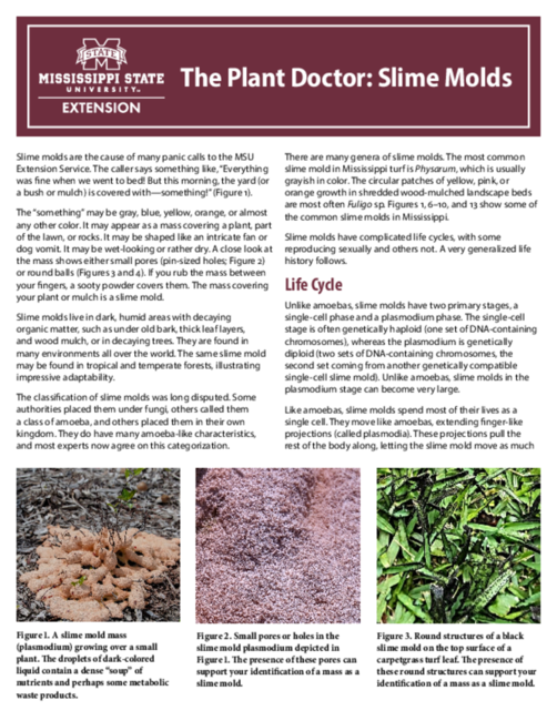 Preview of P4226.pdf