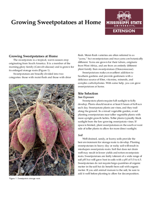 Preview of P2784_web rev2022.pdf