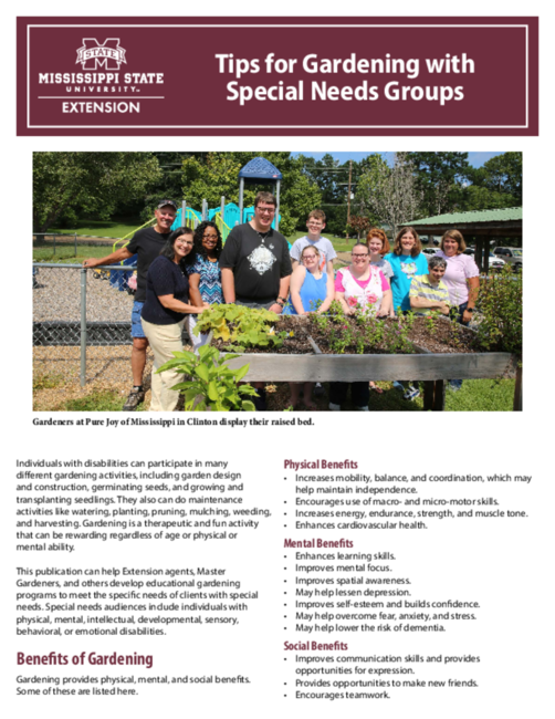 Preview of P3838_web.pdf