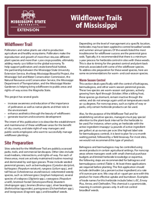 Preview of P3000_web-3.pdf