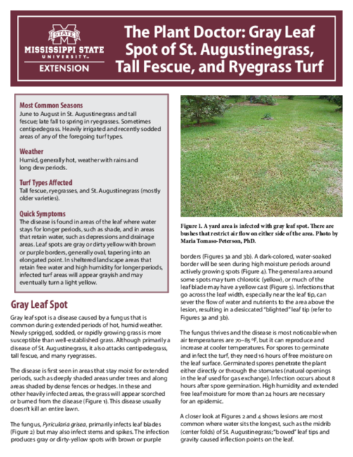 Preview of P4154_web.pdf