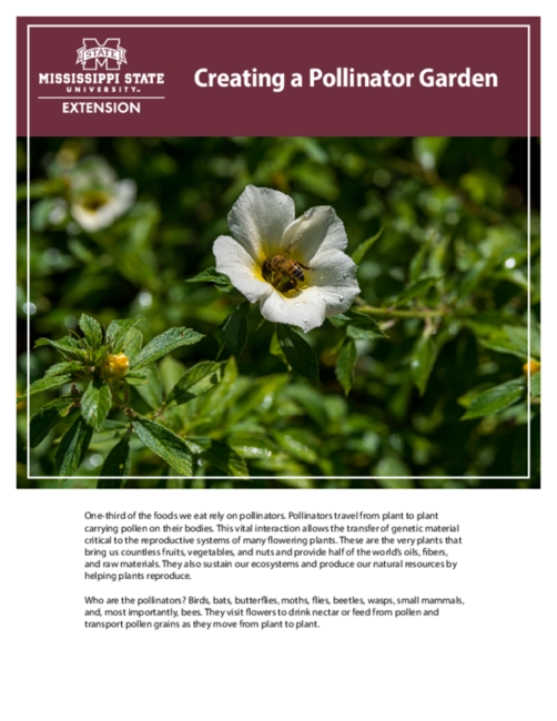 Preview of P3839_web.pdf