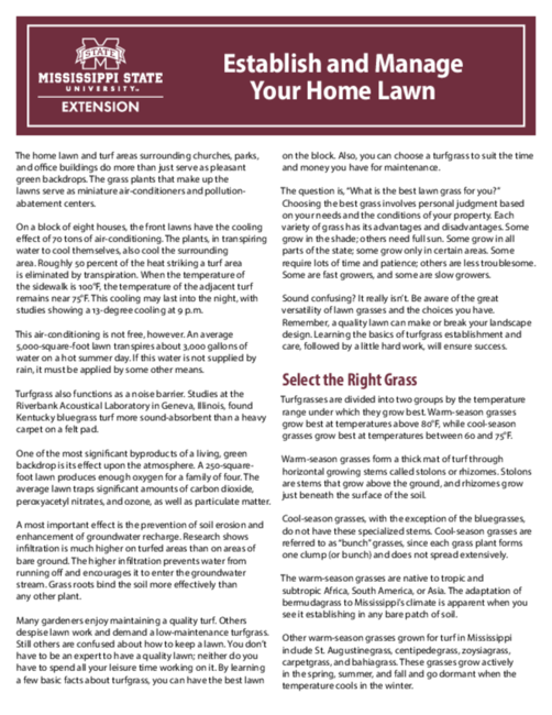 Preview of P1322_web