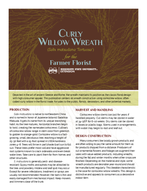 Preview of P3383_web-3.pdf