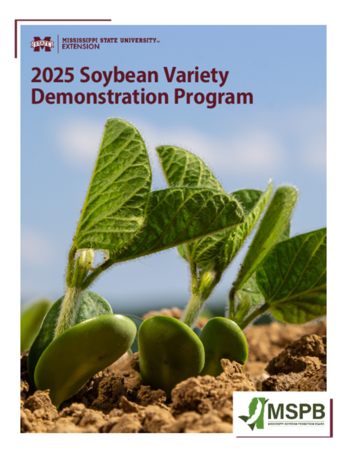 Preview of P4172_web.pdf