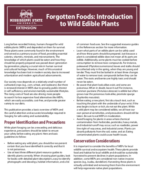 Preview of P4173_web.pdf