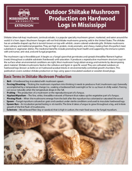 Preview of P4150_web_02.pdf