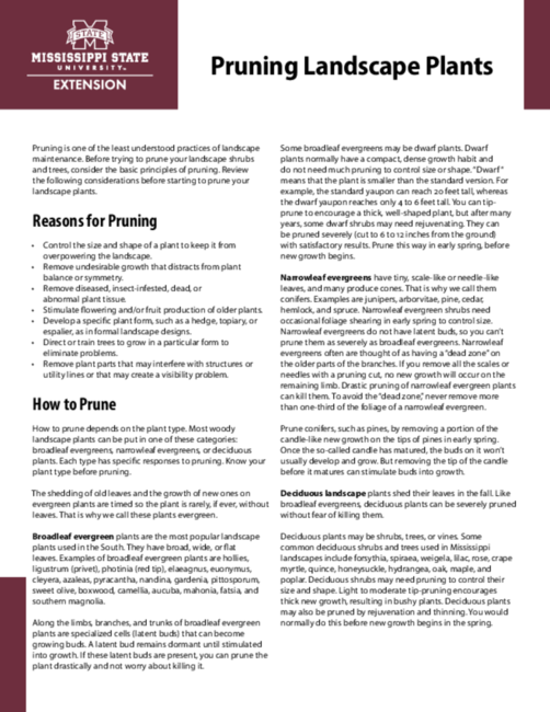 Preview of P3589_web