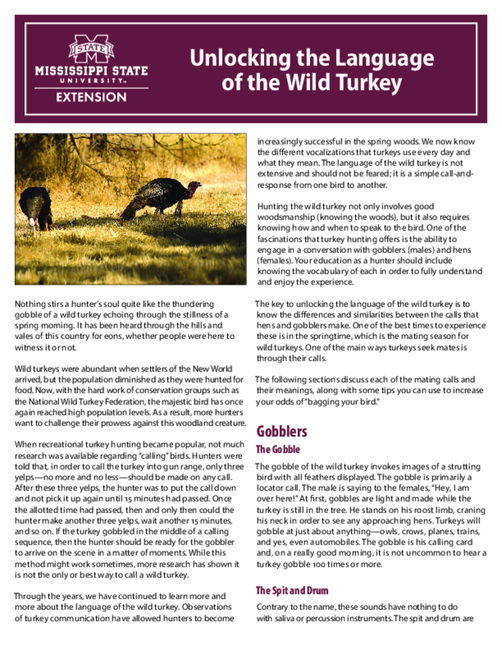 Preview of P3250_web