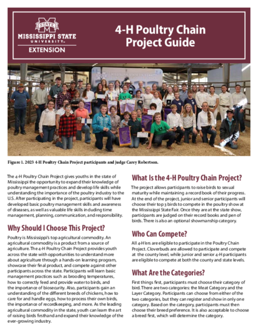 Preview of P3982_web.pdf