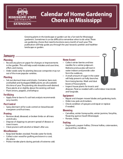 Preview of P3437_web.pdf