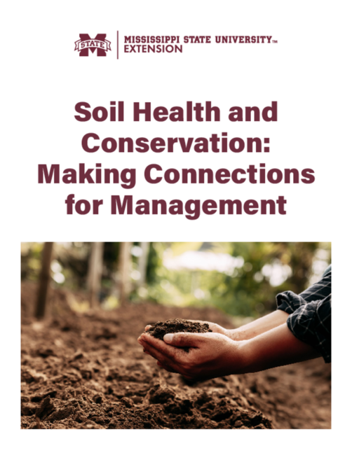 Preview of P4162_web.pdf