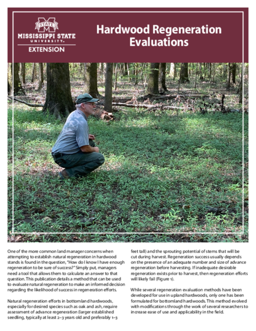 Preview of P4177_web.pdf