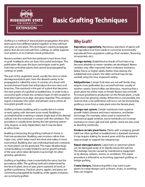 Preview of P3402_2026_web.pdf