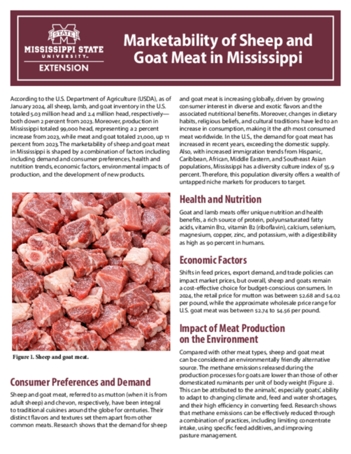 Preview of P4181_web.pdf