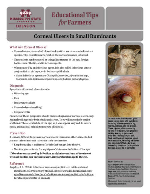 Preview of M2497_web.pdf