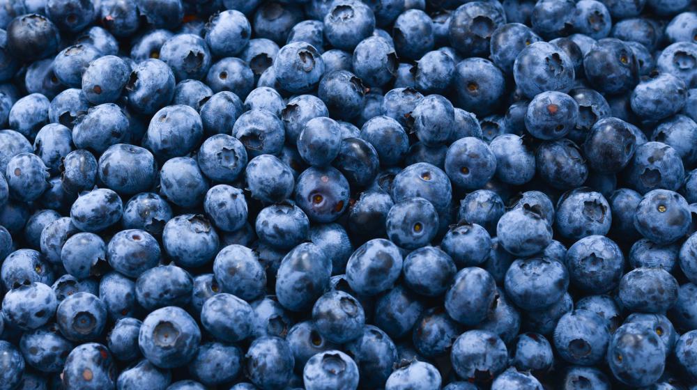 Blueberries