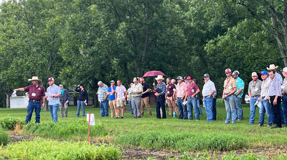 A large group of people standing in a field.