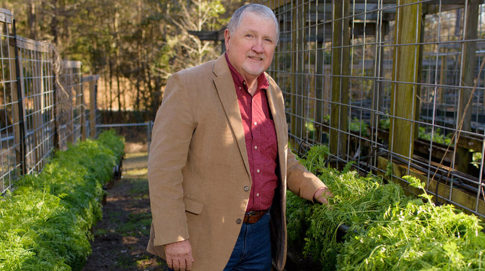 A gray-haired man with white goatee wears a brown blazer over a red polo with blue jeans and brown shoes. He stands in a dirt path flanked on both sides by parsley, about waist-high.