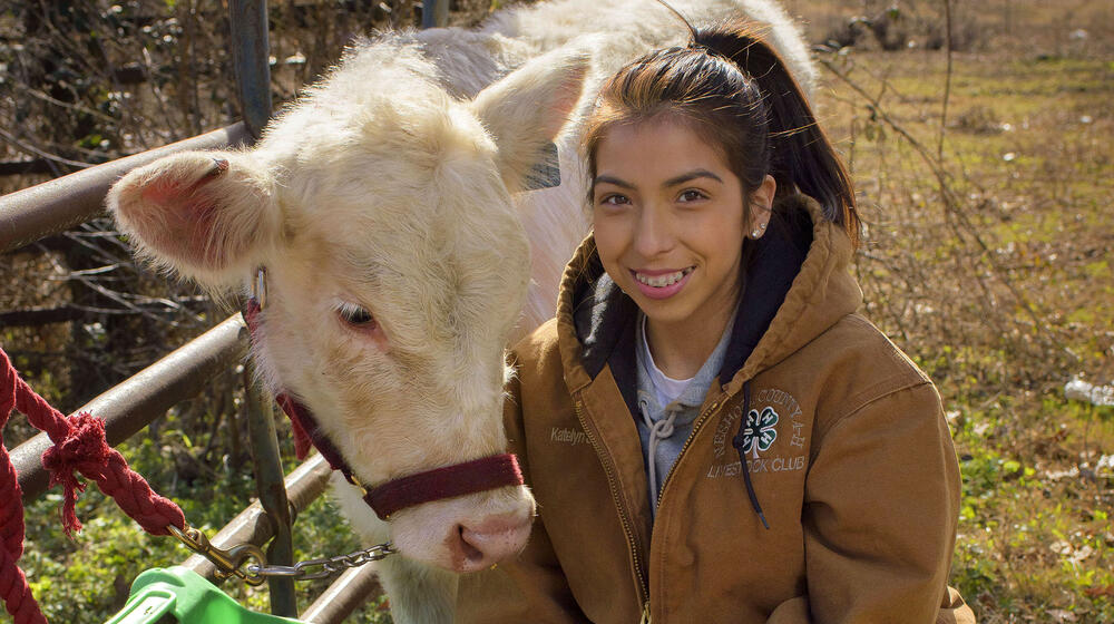 A female teen in a brown 4-H jacket, boots, and jeans squats beside a white cow moving toward its feeder.
