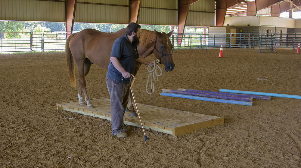 Lance McElhenney working with his horse in an arena.