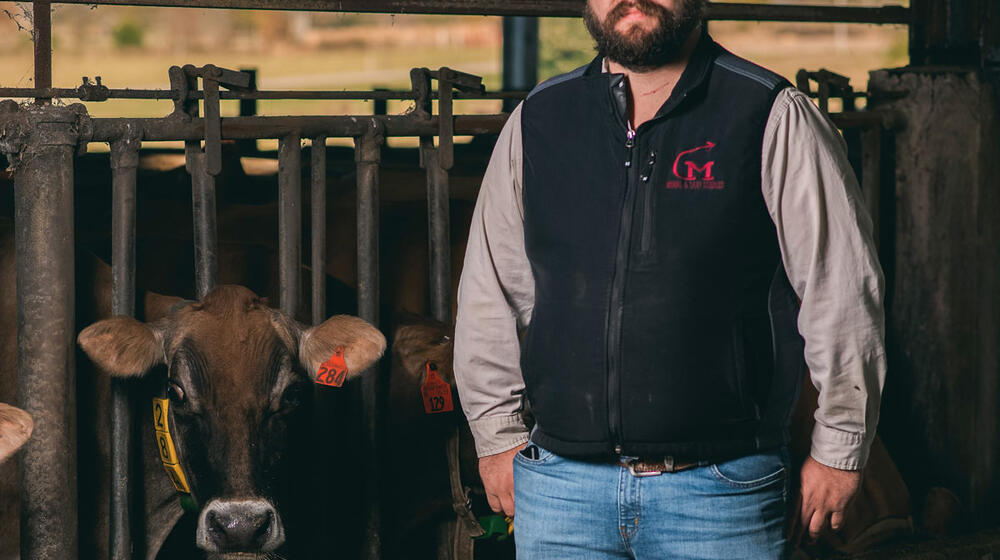 A man gazes off to the left as the sun sets behind him and two cows look at him from the opposite side of the fence he is leaning on.