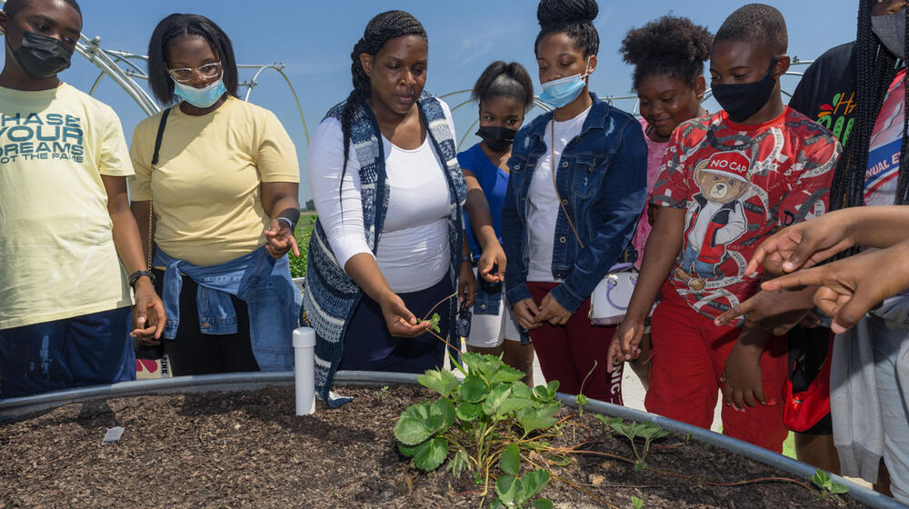 A group of teens examining a plant with a teacher.