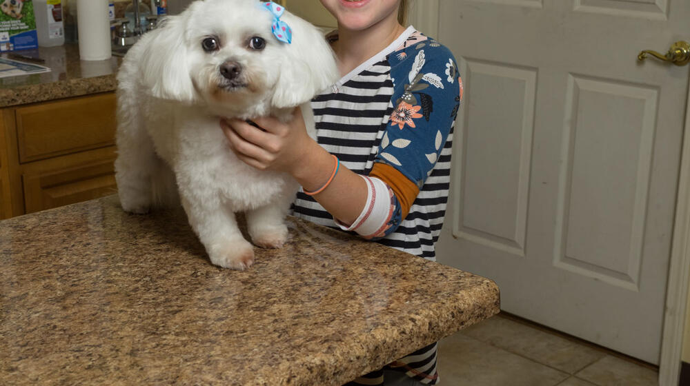 A smiling young girl and a small, white dog with a blue bow on one ear.