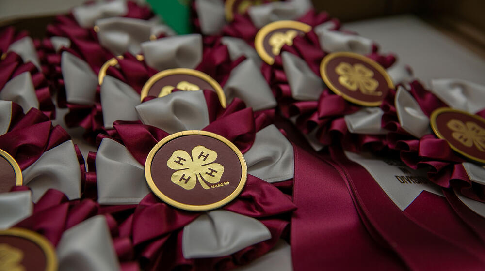 Numerous 4-H medals with maroon ribbons on a table.