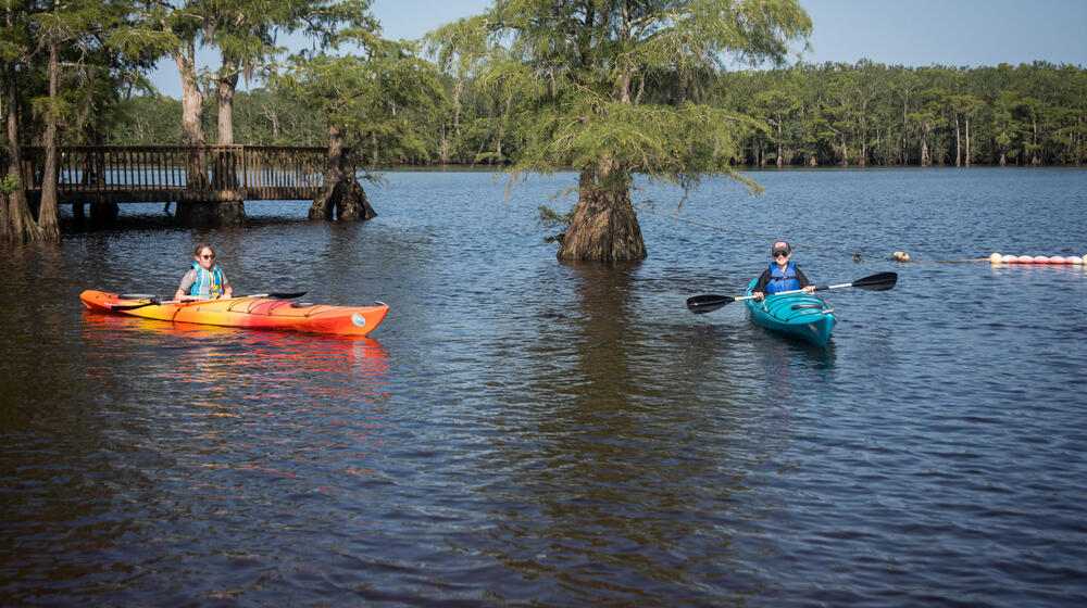 Two children kayaking on the water.