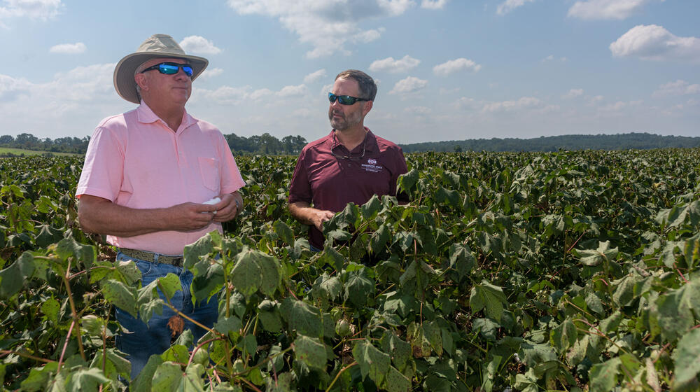 A man wearing a cowboy hat and pink polo looking out over a field and a man in a maroon shirt and sunglasses behind him.
