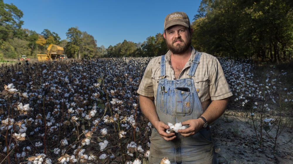 A man wearing overalls and standing in a blooming cotton field.