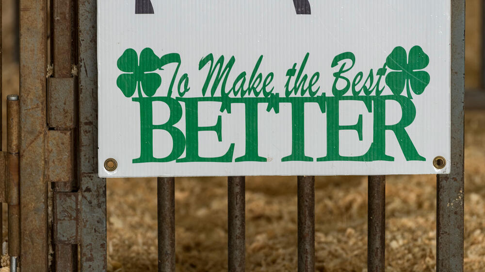 A sign with green text that reads, “To Make the Best BETTER” with 4-leaf clovers on either side.