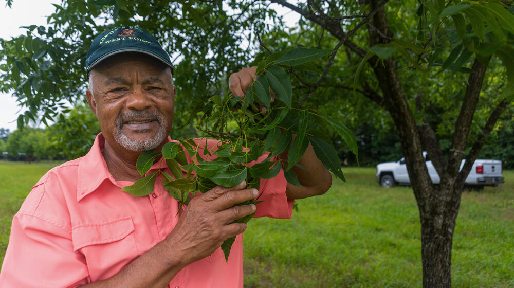 A Black man wearing a baseball hat and smiling, standing holding a pecan treebranch.