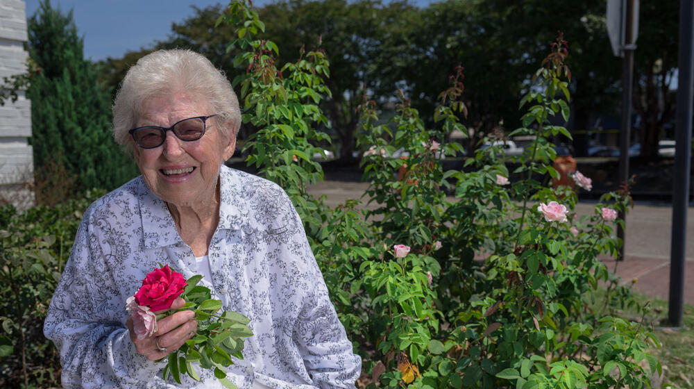  A woman seated among rose bushes, holding roses, and laughing.