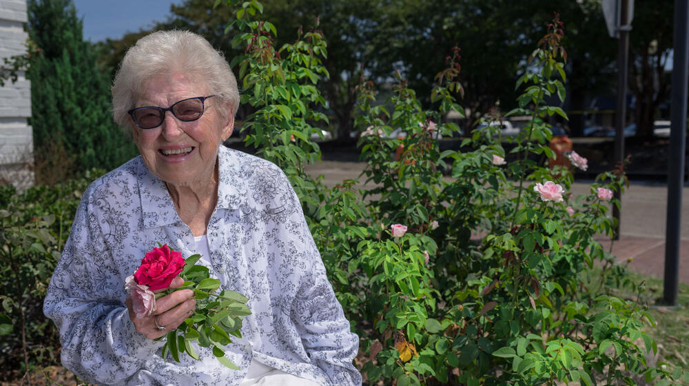  A woman seated among rose bushes, holding roses, and laughing.