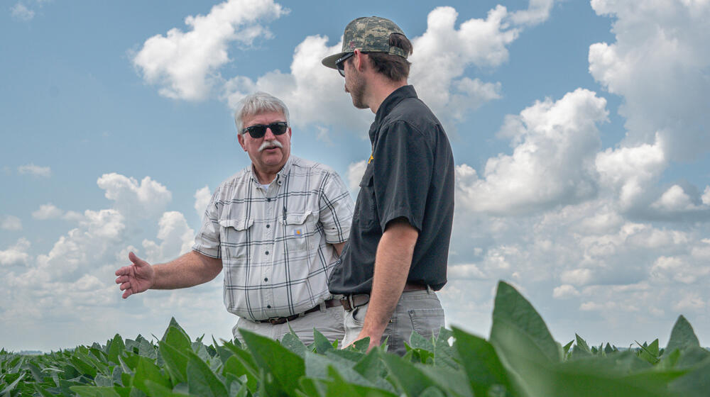 Standing in a soybean field, a person gestures toward another person.