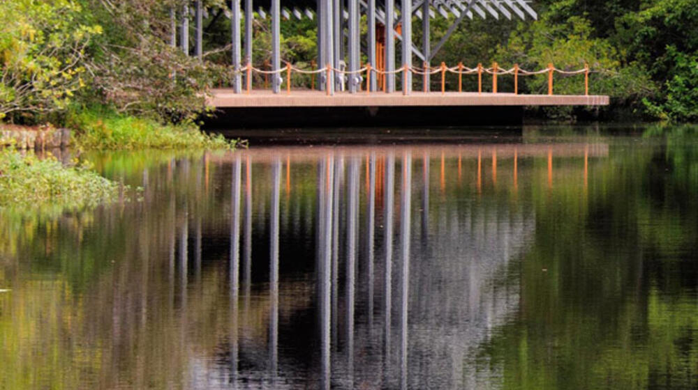 Pavilion surrounded by trees