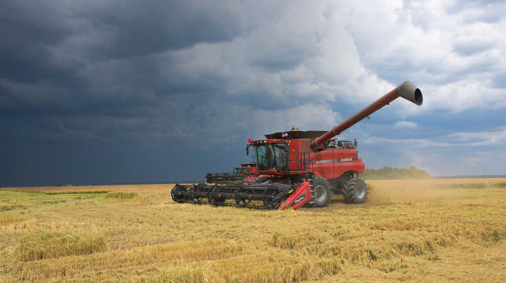 Harvesting machine in a rice field.
