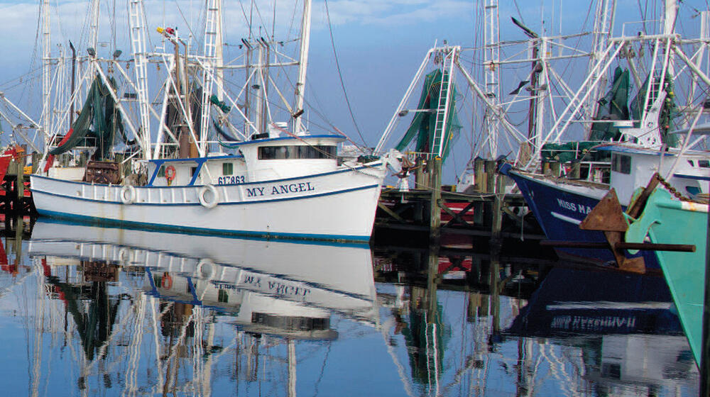 Boats in a harbor.