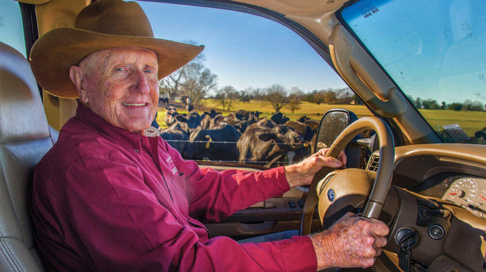 A man sits behind the steering wheel of a car parked in a cow pasture filled with cows. 