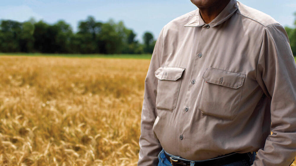 A man standing in a soybean field.