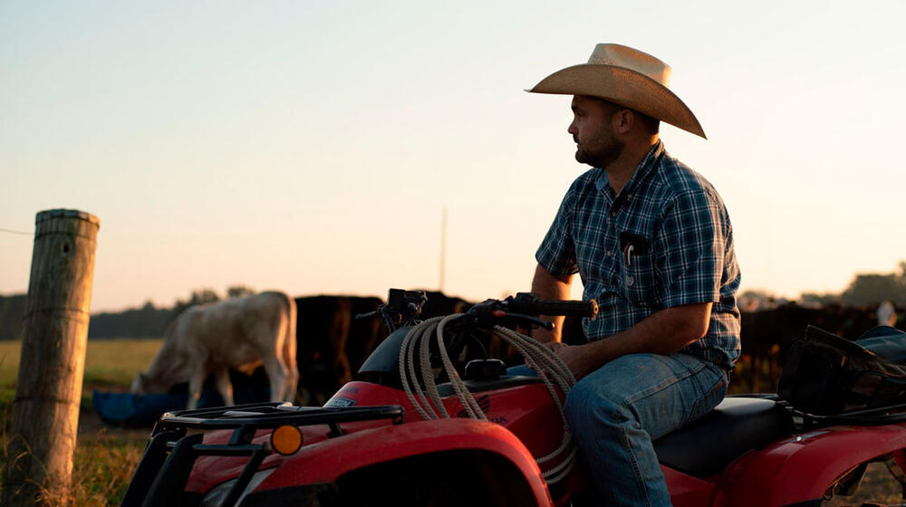A man wearing a cowboy hat sits on an ATV in front of cows.