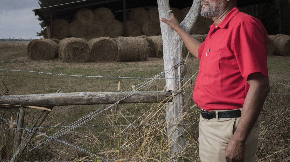A man holds onto fence as he looks at a field with stacked hay bales in it.