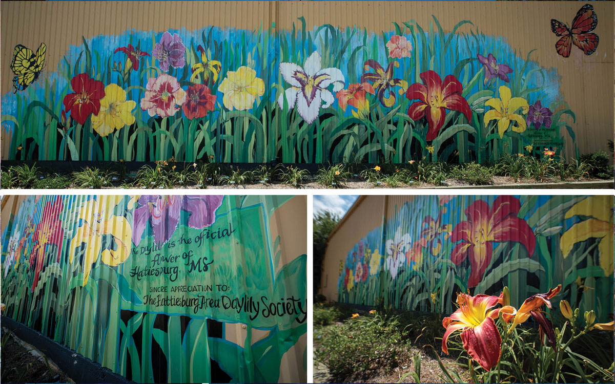 Three angles of a view of a painted mural of daylilies of all colors.